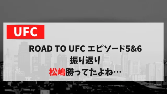 ROAD TO UFC エピソード5&6 振り返り 松嶋勝ってたよね…