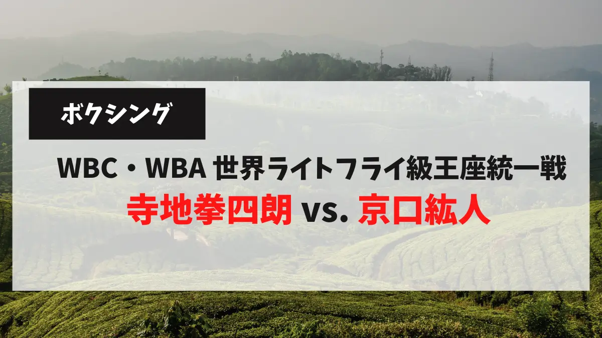 WBC・WBA 世界ライトフライ級王座統一戦 寺地拳四朗 vs. 京口紘人